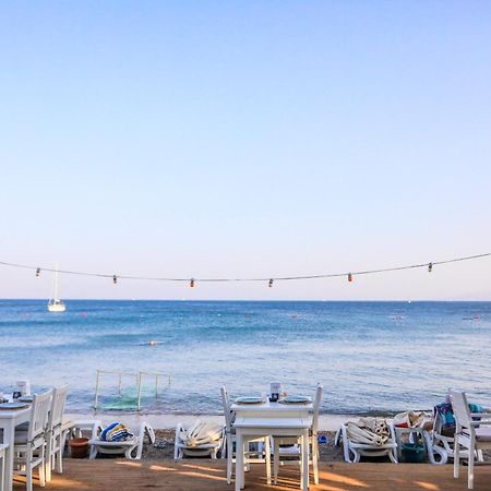 Zest Exclusive Hotel & Spa Ortakent Eksteriør bilde